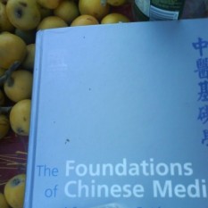 This textbook by Giovanni Maciocia is a very interesting read. If you are interested in learning more about Chinese medicine you could order a copy from ChinaBooks in Melbourne or take a look for it on Amazon.