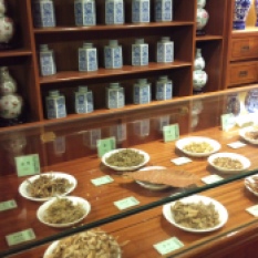 In this photo you can see some of the interesting herbal medicines on display at the Hong Kong Museum of Medical Science.